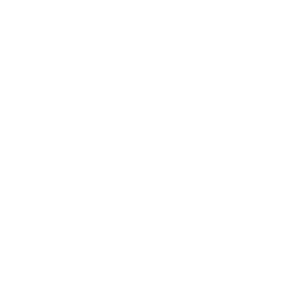 ZAin Logo